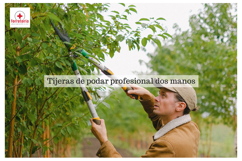 Todo sobre las tijeras de podar profesional dos manos