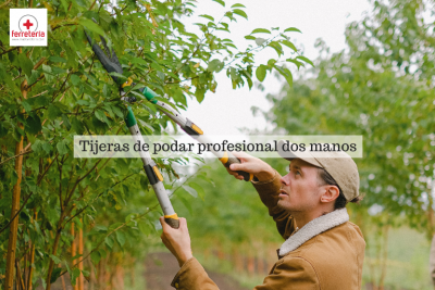 Todo sobre las tijeras de podar profesional dos manos