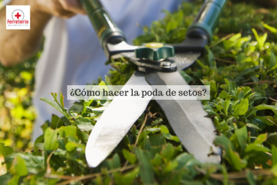 Aprende a hacer una poda de setos