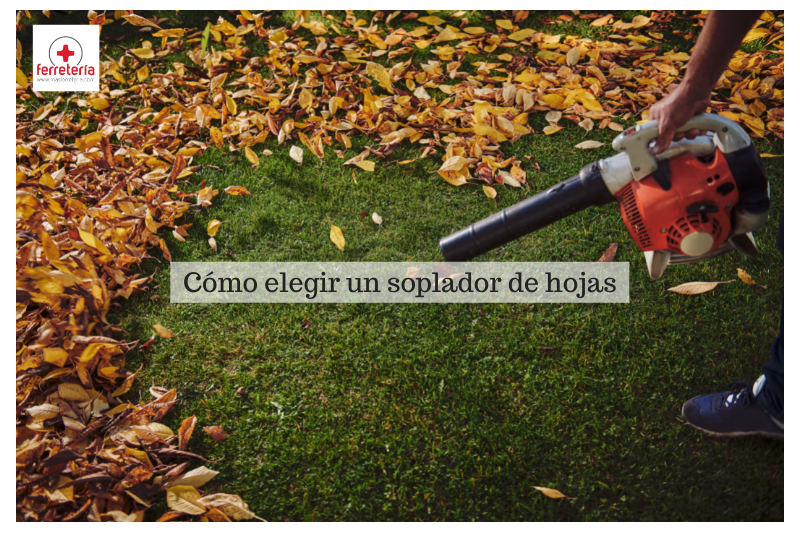 ¿Cómo elegir un soplador de hojas?