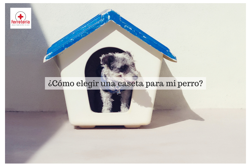 ¿Cómo elegir una caseta perro?