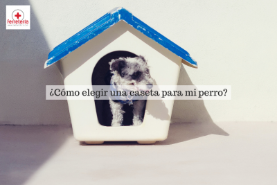 ¿Cómo elegir una caseta perro?