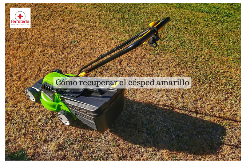 ¿Cómo recuperar el césped amarillo? ¡Trucos que de verdad funcionan!