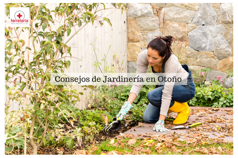 5 consejos de jardinería en otoño. ¡Prepara tu jardín ahora! En invierno será demasiado tarde