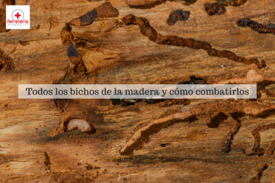 Todos los bichos de la madera y cómo combatirlos