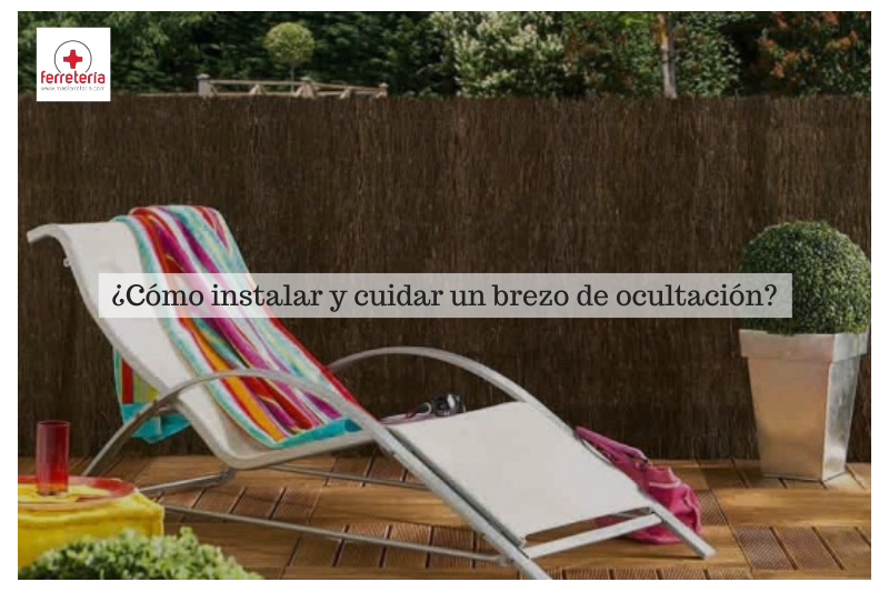 ¿Cómo instalar y cuidar un brezo ocultación?