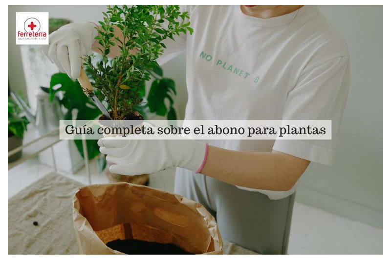 Guía completa sobre el abono para plantas