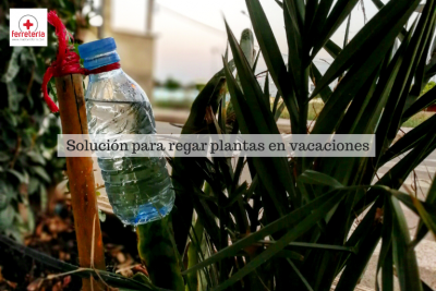 ¿Cómo regar plantas en vacaciones?