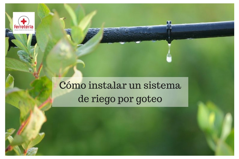 Cómo instalar un sistema de riego por goteo